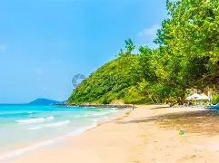 - 海滨山猫队读秒绝平河套雄鲨队,足球邀请赛上演耐力碾压对手!宿敌对话再升级